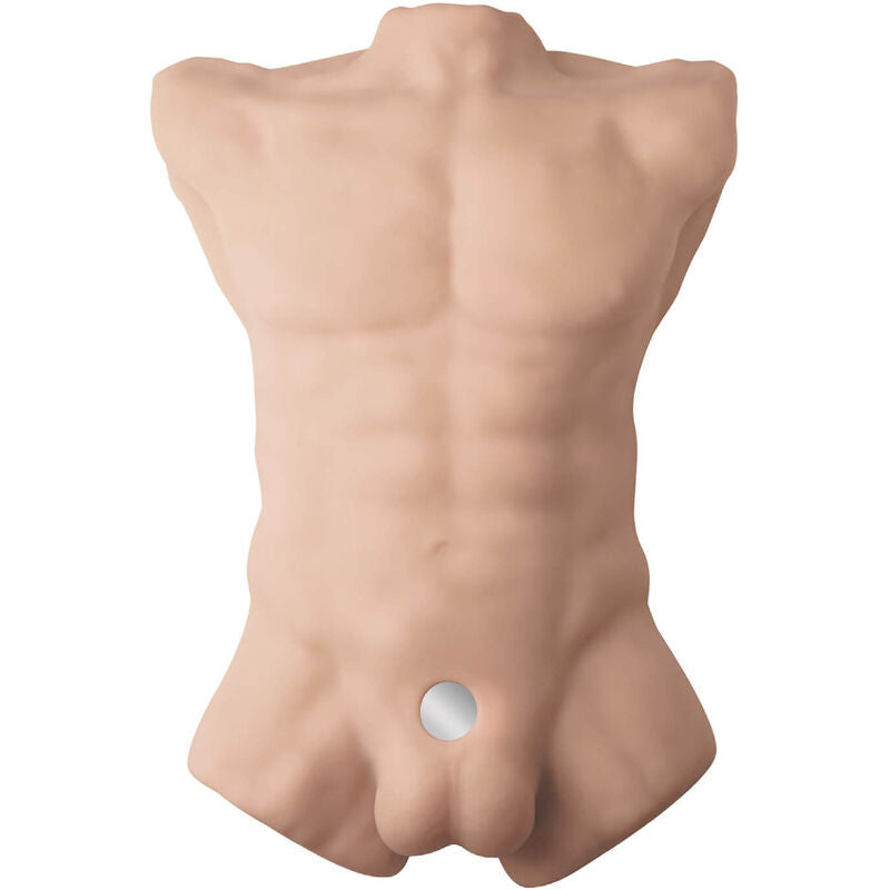 TORSO MASCULINO APOLLO L - SILEXD